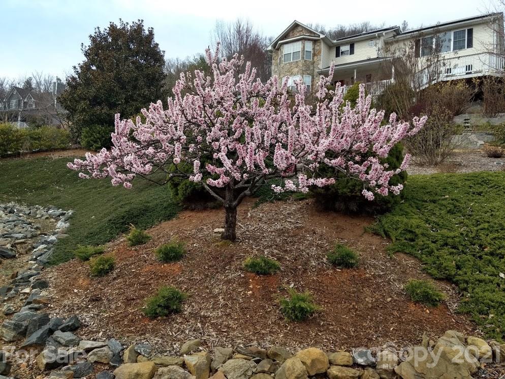 106 Thistle Tree Way Weaverville NC 28787