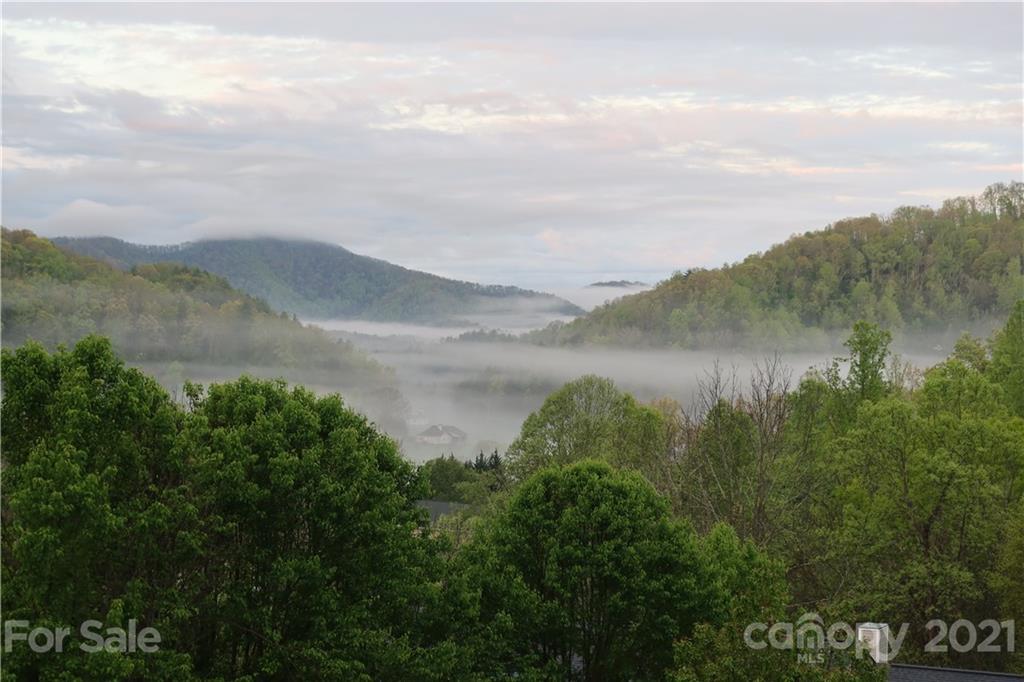 106 Thistle Tree Way Weaverville NC 28787