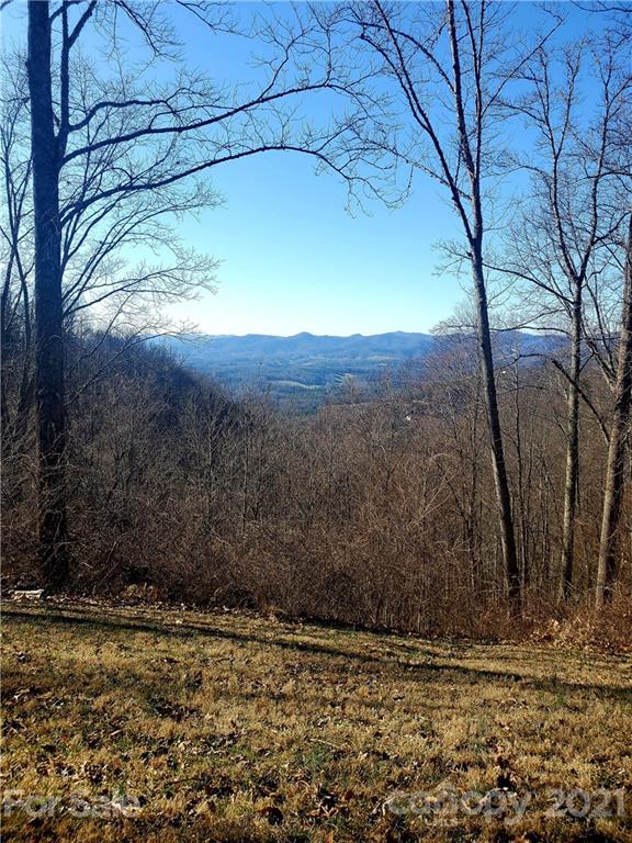 169 Seven Glens Drive Weaverville NC 28787