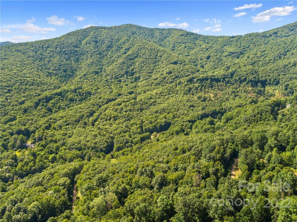 495 Lytle Cove Road Swannanoa NC 28778