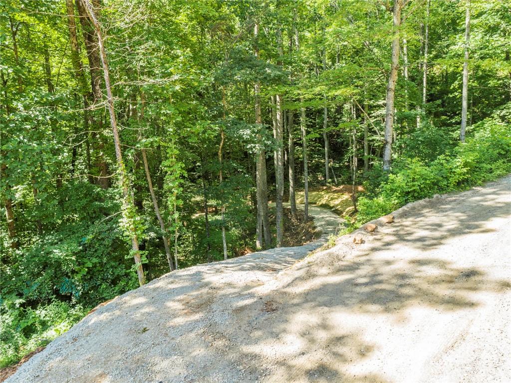 495 Lytle Cove Road Swannanoa NC 28778