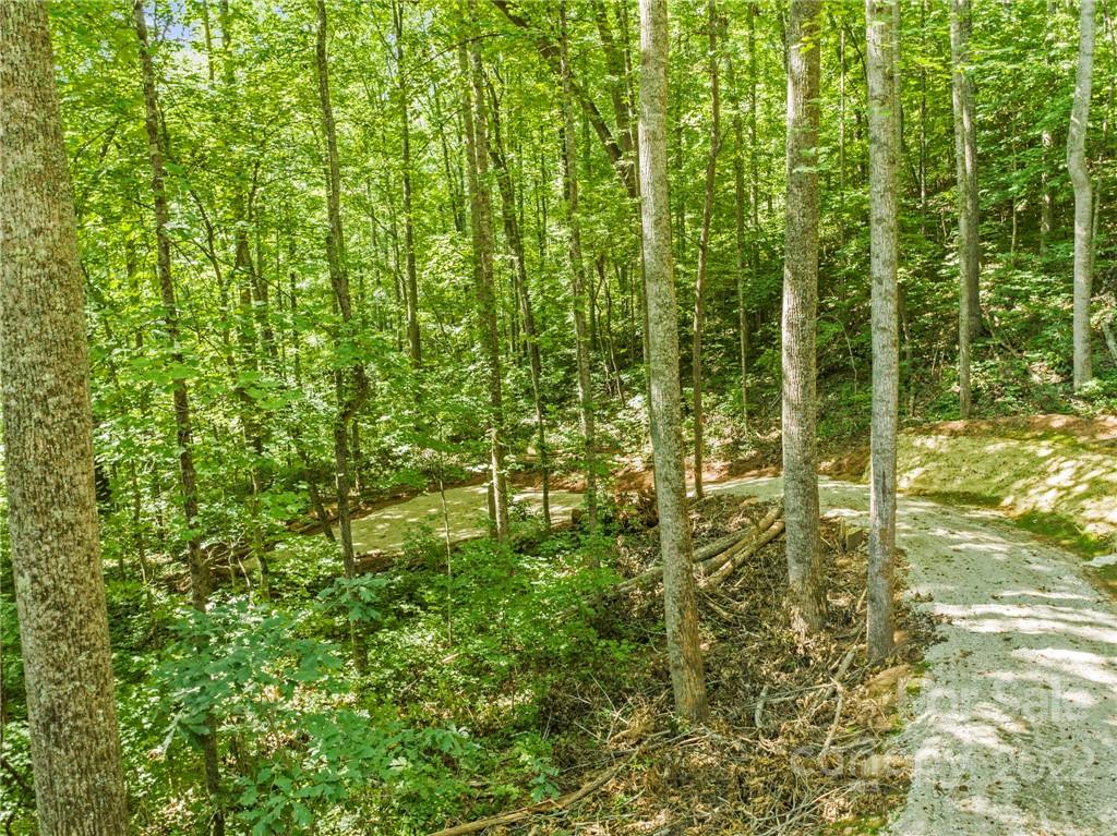 495 Lytle Cove Road Swannanoa NC 28778