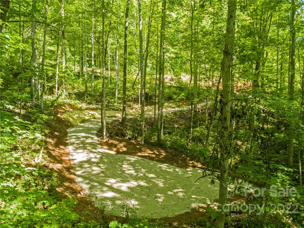 495 Lytle Cove Road Swannanoa NC 28778
