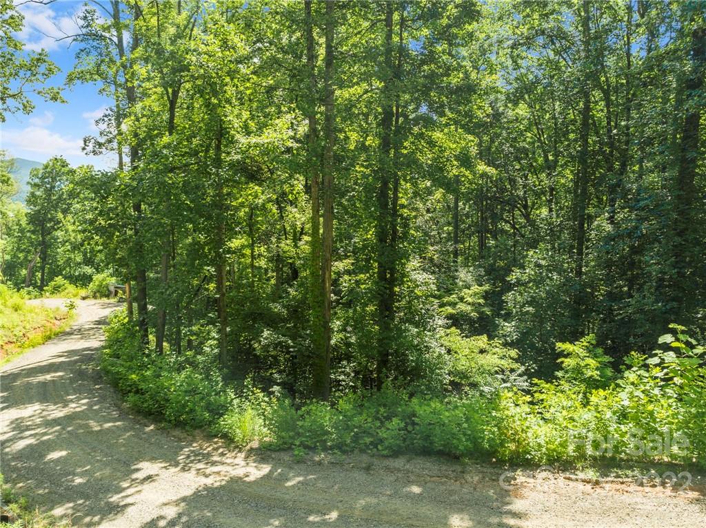 495 Lytle Cove Road Swannanoa NC 28778