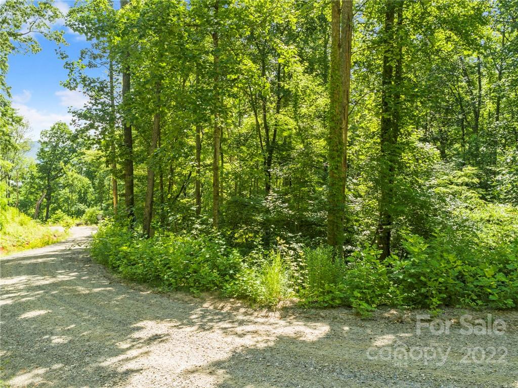 495 Lytle Cove Road Swannanoa NC 28778
