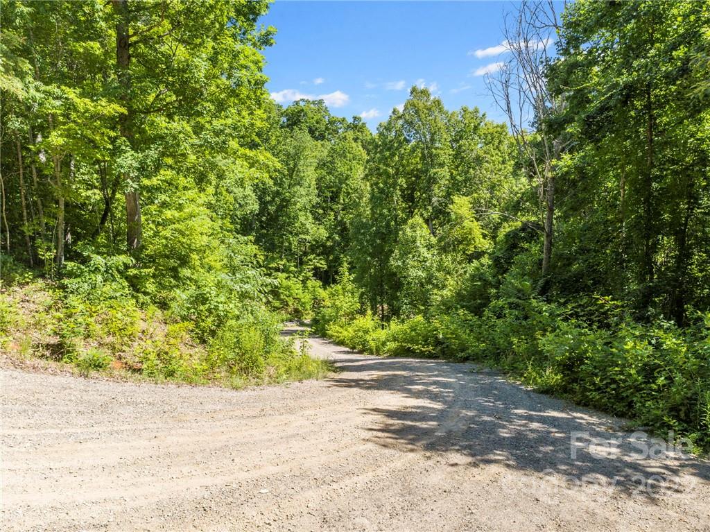 495 Lytle Cove Road Swannanoa NC 28778