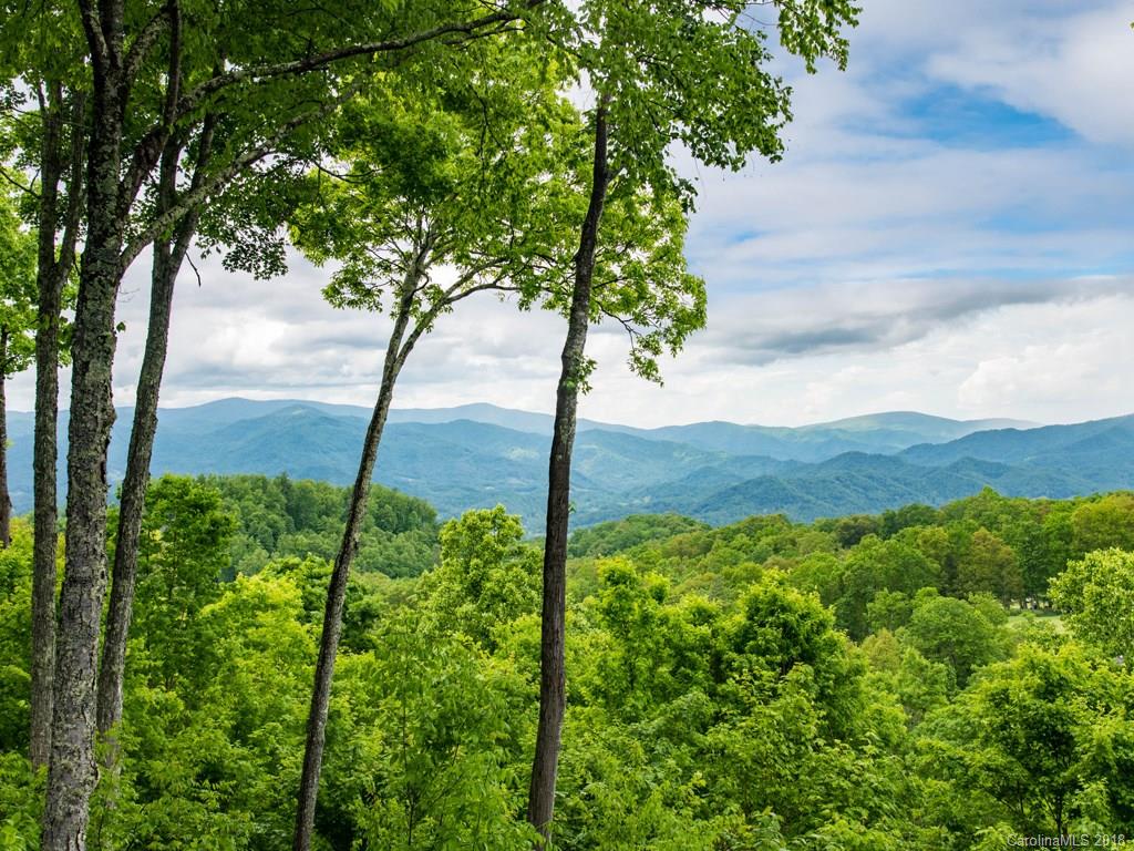 24 Ridgepoint View Burnsville NC 28714