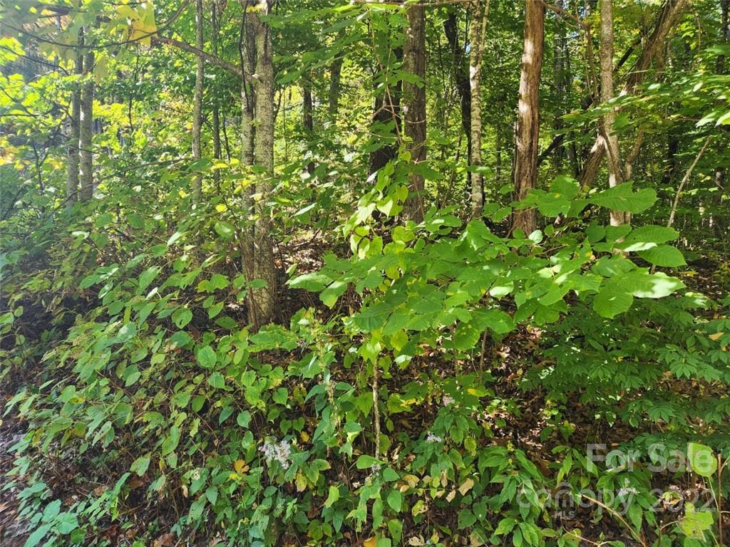 00 Staymon Road Waynesville NC 28786