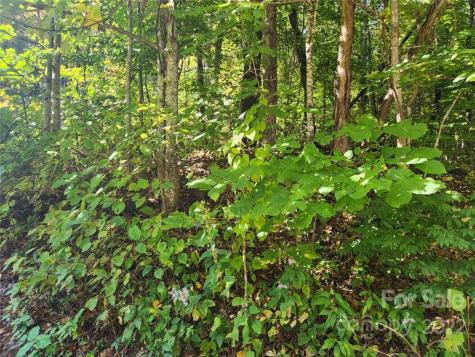 00 Staymon Road Waynesville NC 28786