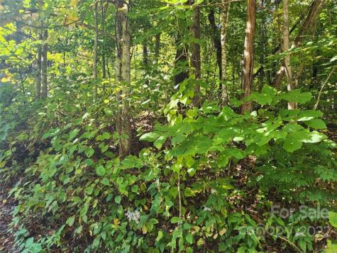 00 Staymon Road Waynesville NC 28786