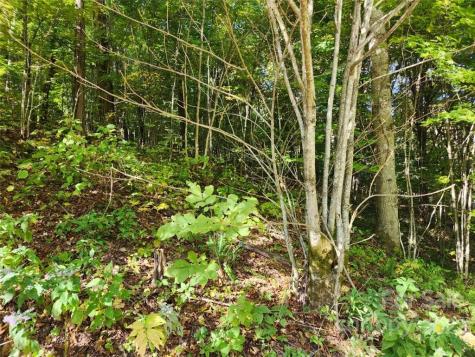 00 Staymon Road Waynesville NC 28786