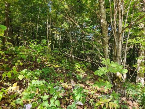 00 Staymon Road Waynesville NC 28786