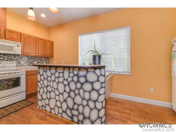 91 Richmond Hill Drive Asheville NC 28806