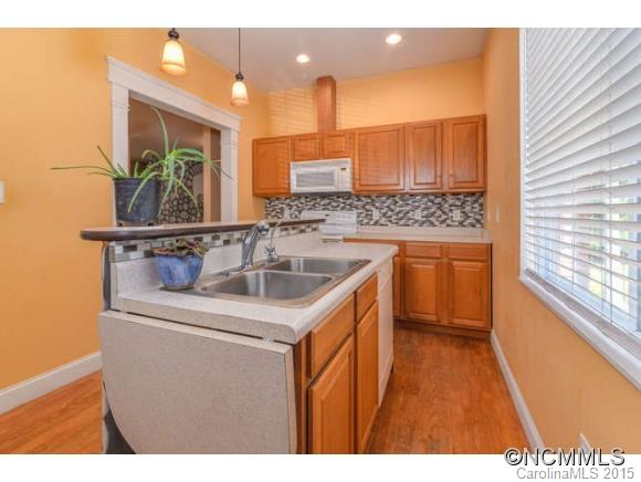 91 Richmond Hill Drive Asheville NC 28806