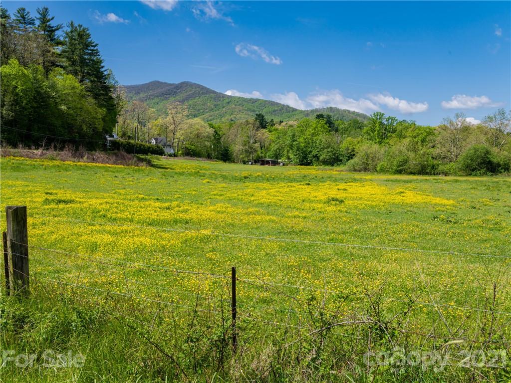 540 Sweet Birch Park Lane Black Mountain NC 28711