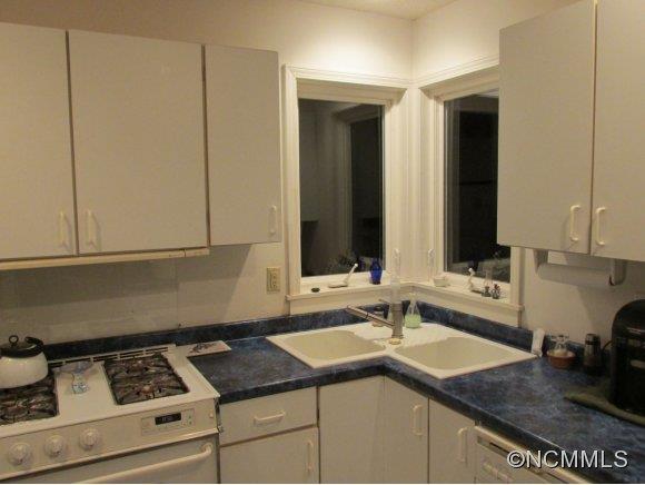 48 White Rose Lane Asheville NC 28804