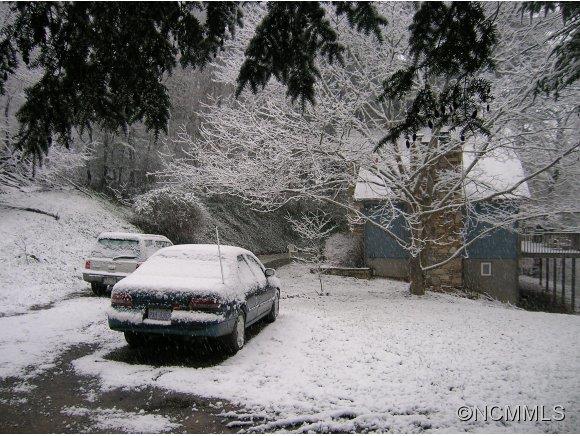 48 White Rose Lane Asheville NC 28804