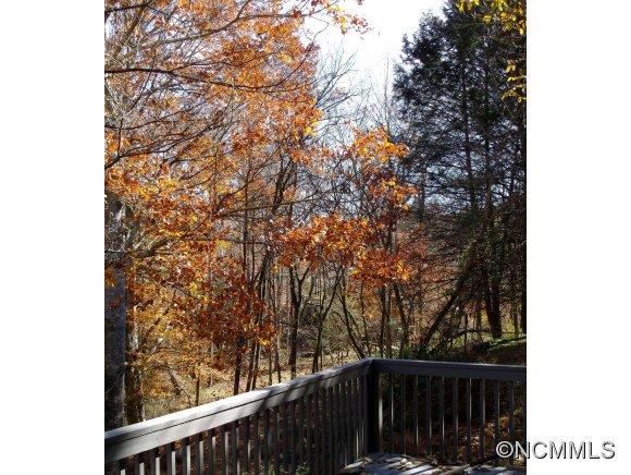 48 White Rose Lane Asheville NC 28804