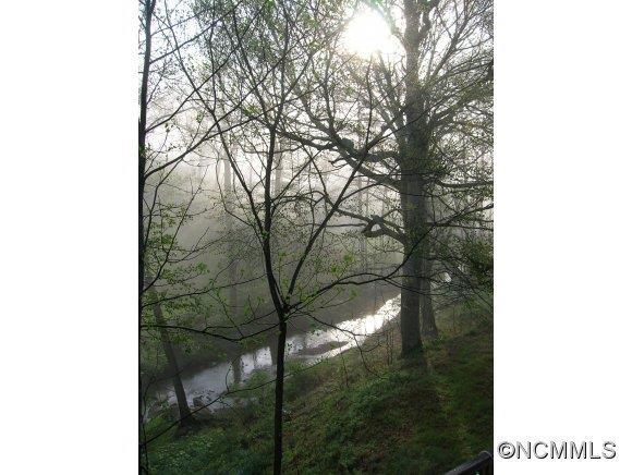 48 White Rose Lane Asheville NC 28804