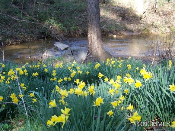 48 White Rose Lane Asheville NC 28804