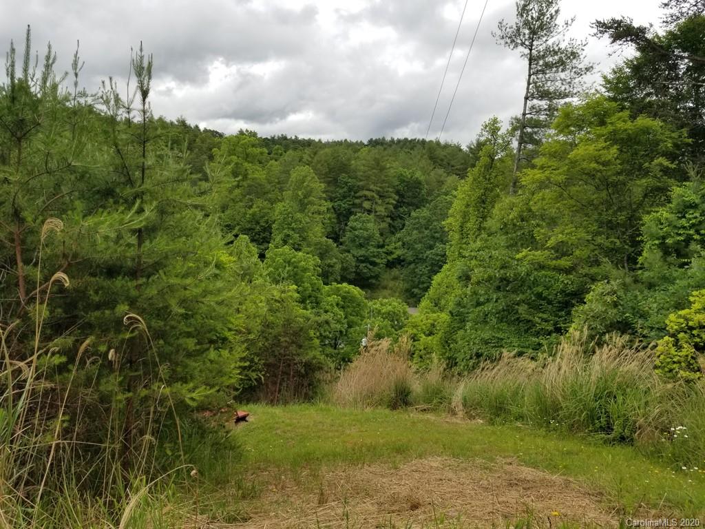 55 Dogwood Trace Mars Hill NC 28754