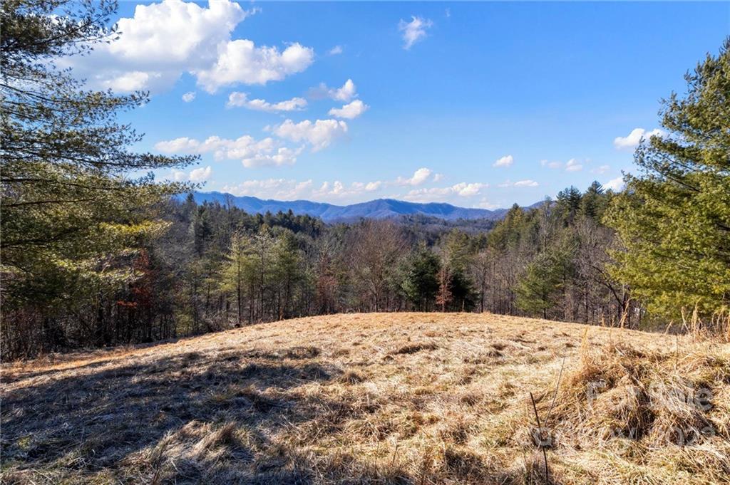 1725 Big Laurel Road Marshall NC 28753