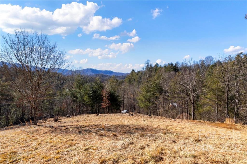 1725 Big Laurel Road Marshall NC 28753