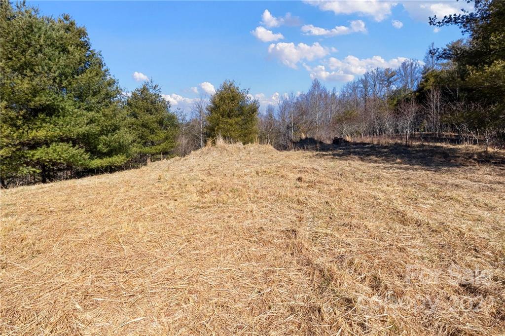 1725 Big Laurel Road Marshall NC 28753