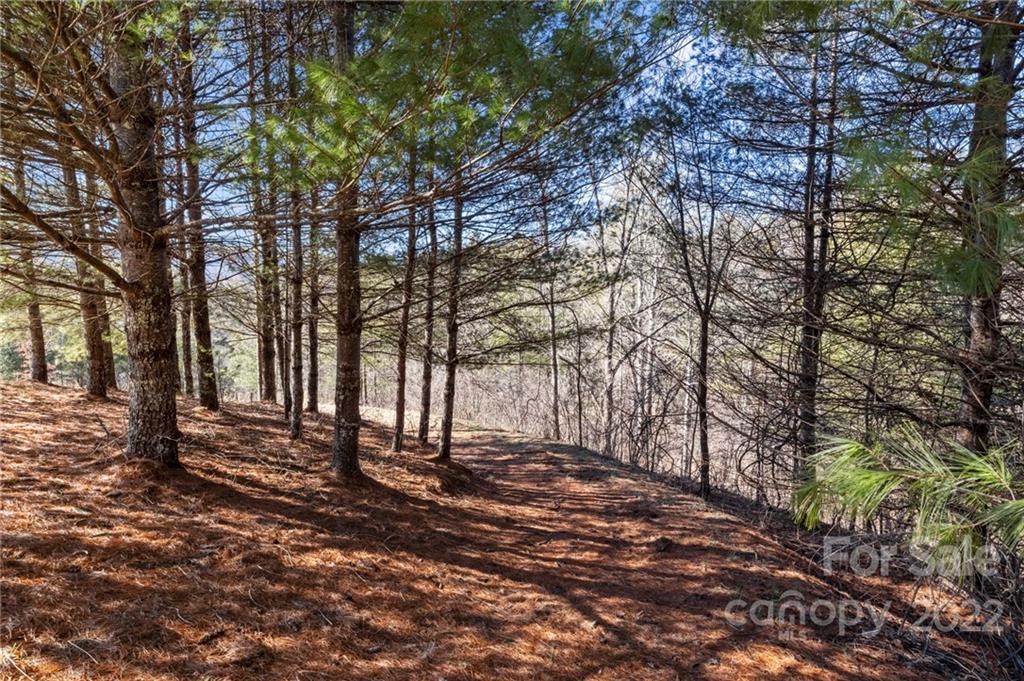 1725 Big Laurel Road Marshall NC 28753