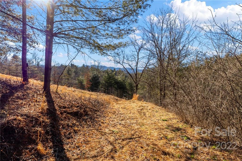 1725 Big Laurel Road Marshall NC 28753