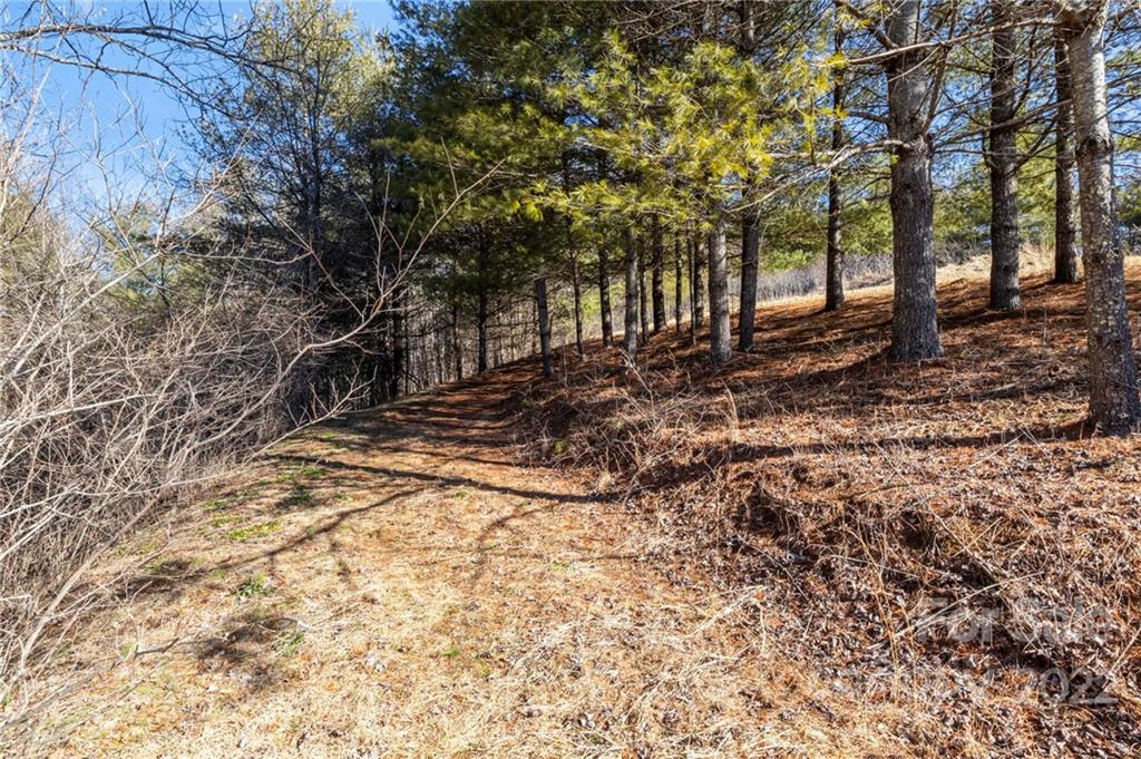 1725 Big Laurel Road Marshall NC 28753