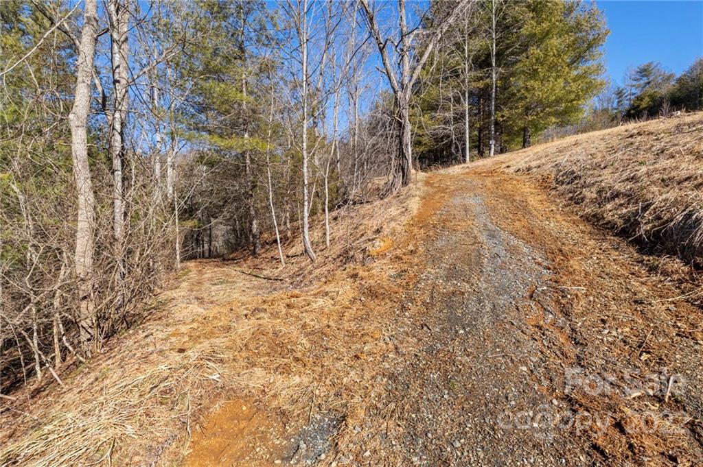 1725 Big Laurel Road Marshall NC 28753