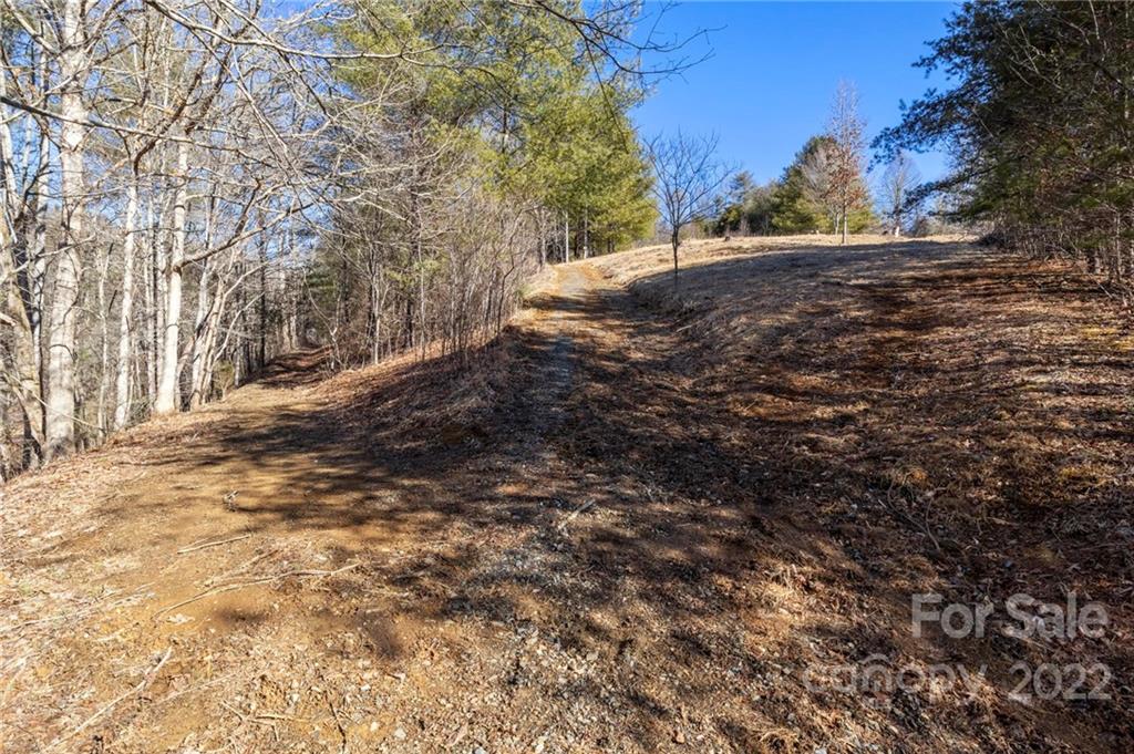 1725 Big Laurel Road Marshall NC 28753