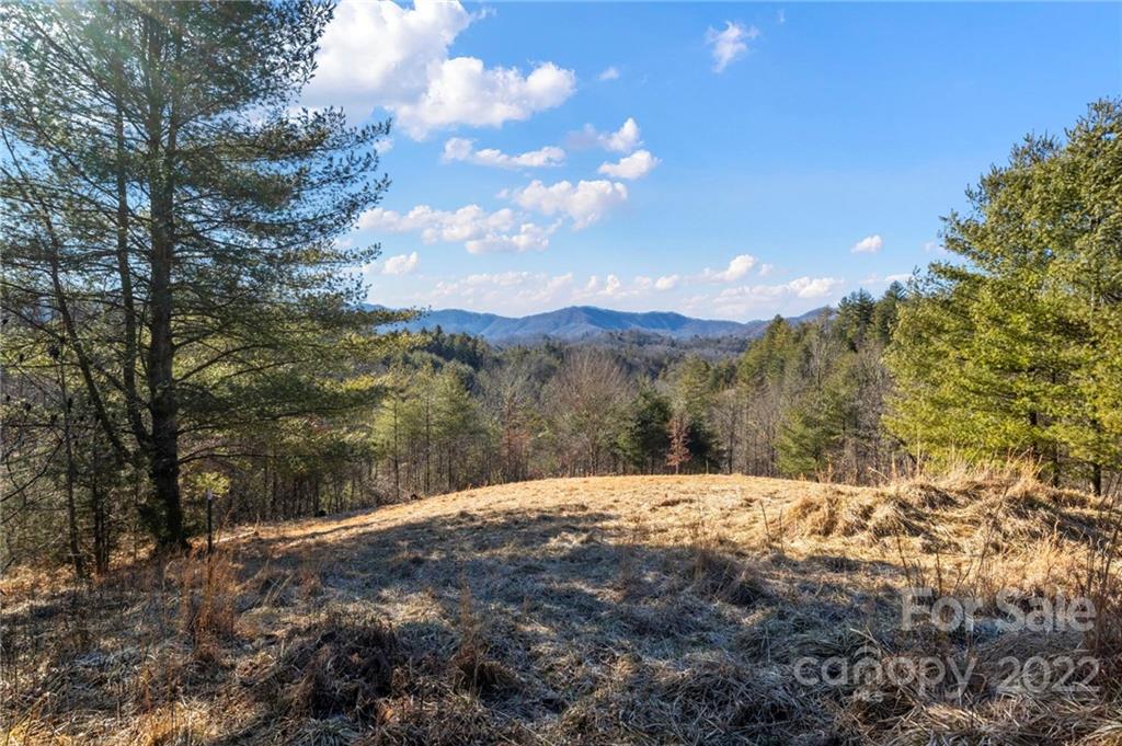 1725 Big Laurel Road Marshall NC 28753