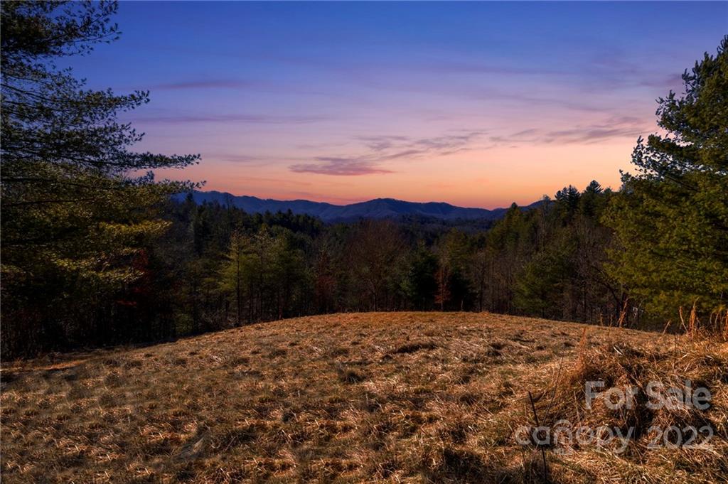 1725 Big Laurel Road Marshall NC 28753
