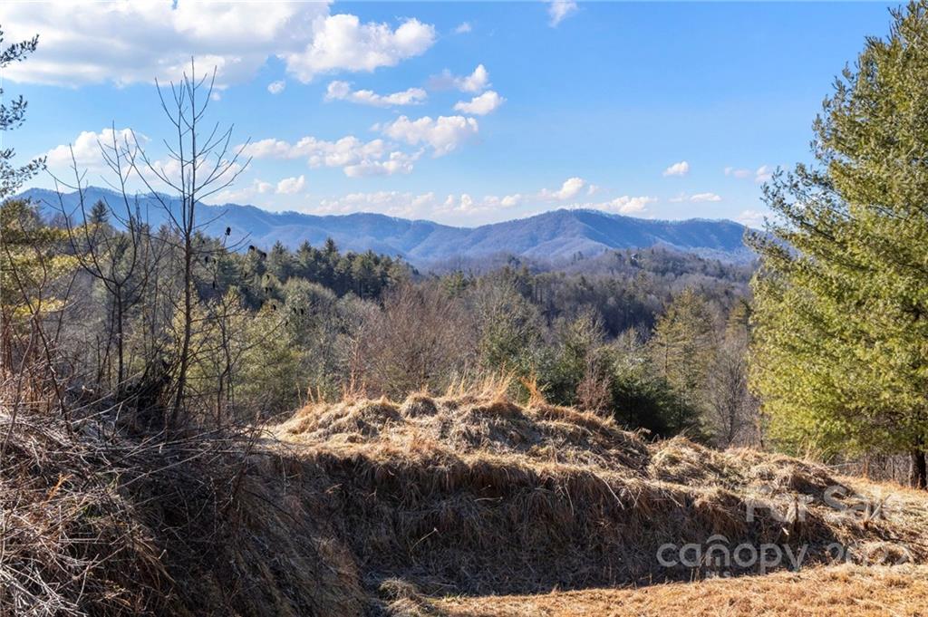1725 Big Laurel Road Marshall NC 28753