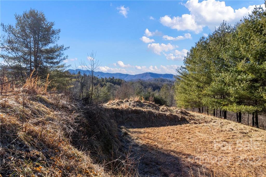 1725 Big Laurel Road Marshall NC 28753