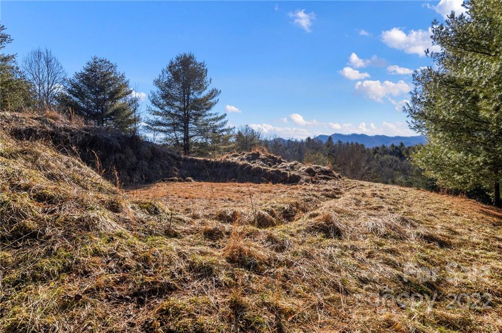 1725 Big Laurel Road Marshall NC 28753
