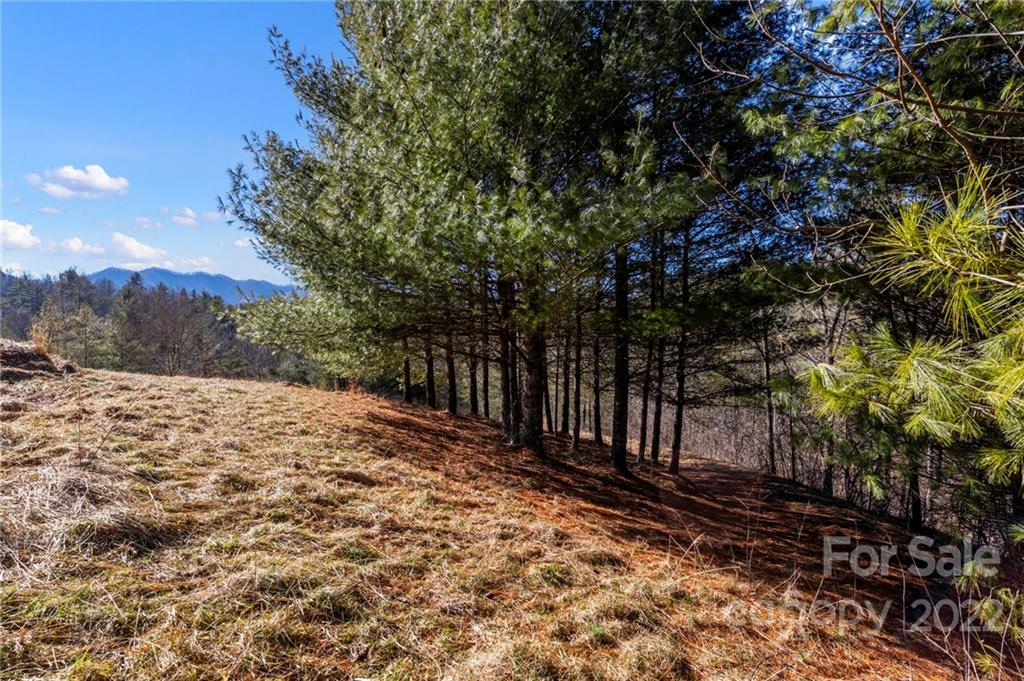 1725 Big Laurel Road Marshall NC 28753