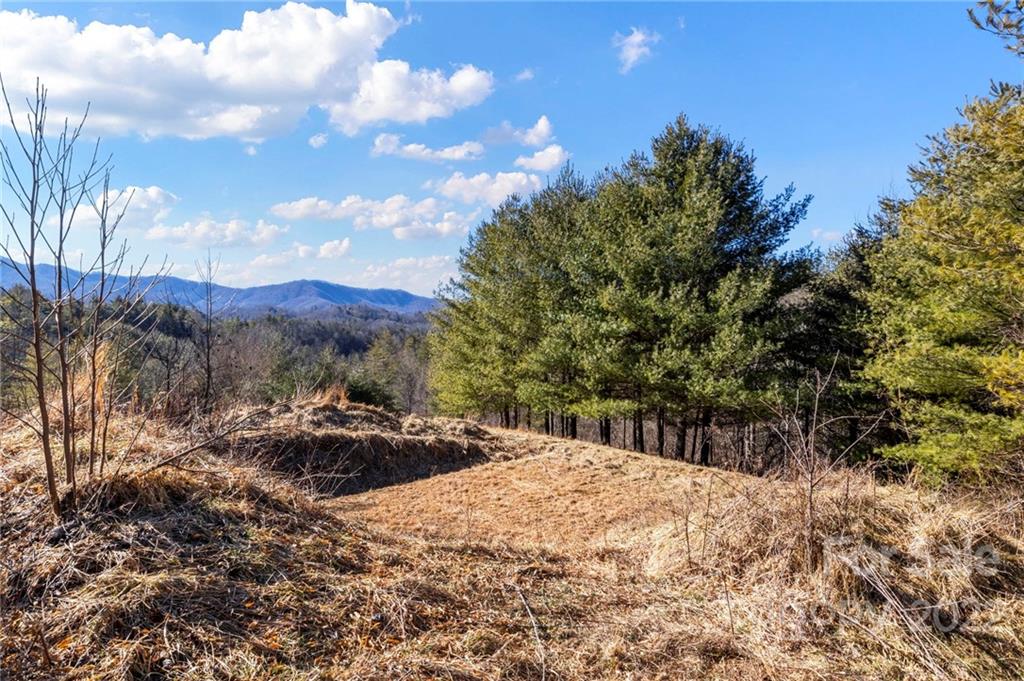 1725 Big Laurel Road Marshall NC 28753