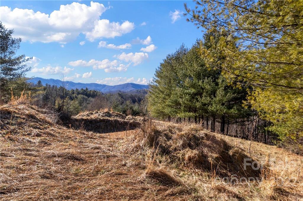 1725 Big Laurel Road Marshall NC 28753
