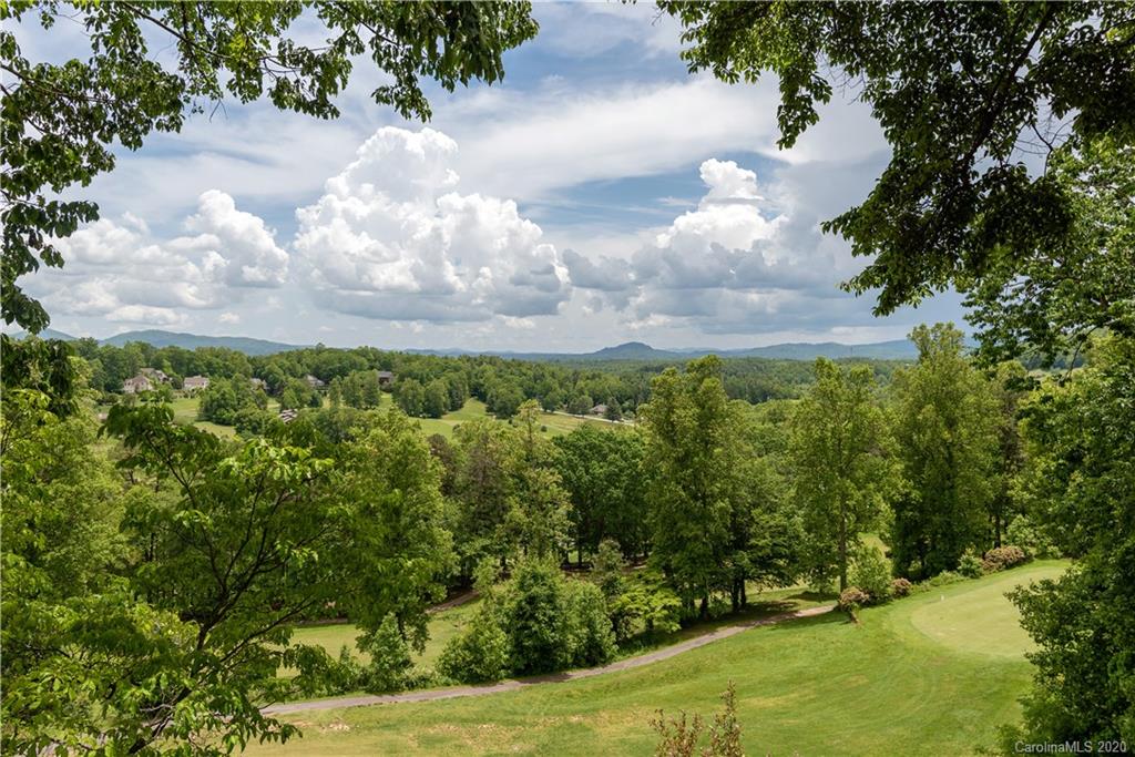 1033 High Vista Drive Mills River NC 28759