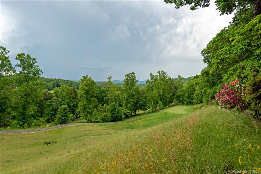 1033 High Vista Drive Mills River NC 28759
