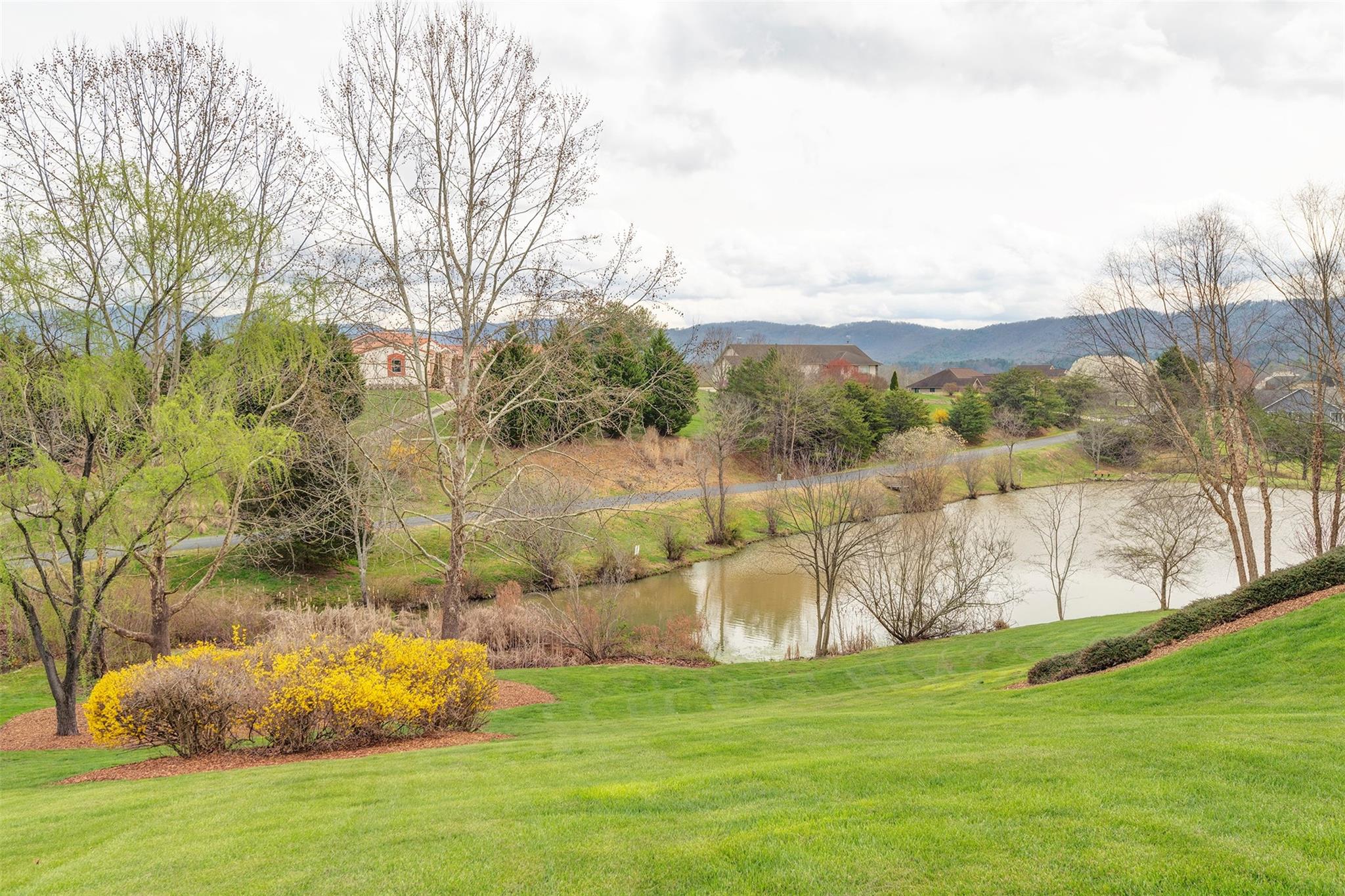 50 Alpine Way Weaverville NC 28787