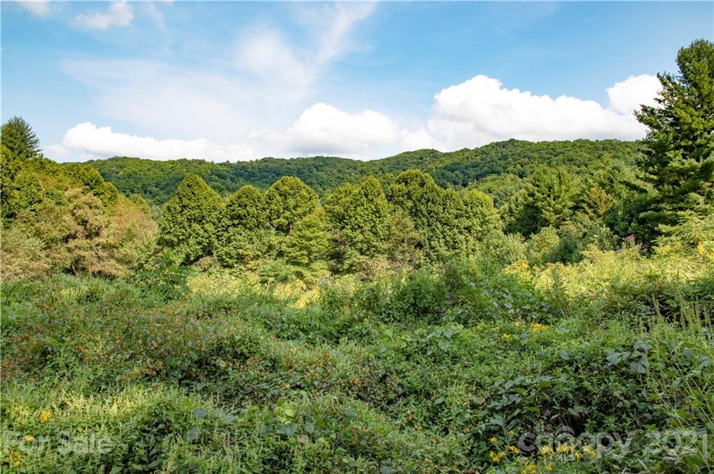 6200 Meadow Fork Road Hot Springs NC 28743