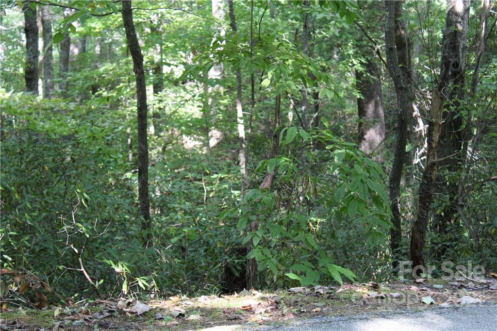 000 Chimney Cliffs Drive Lake Lure NC 28746