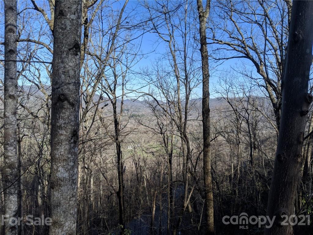 TBD Crestview Drive Black Mountain NC 28711
