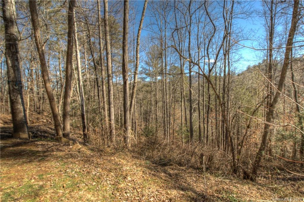 630 Rustic Heights Road Waynesville NC 28785