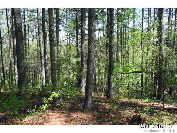 2610 Bear Creek Road Marshall NC 28753
