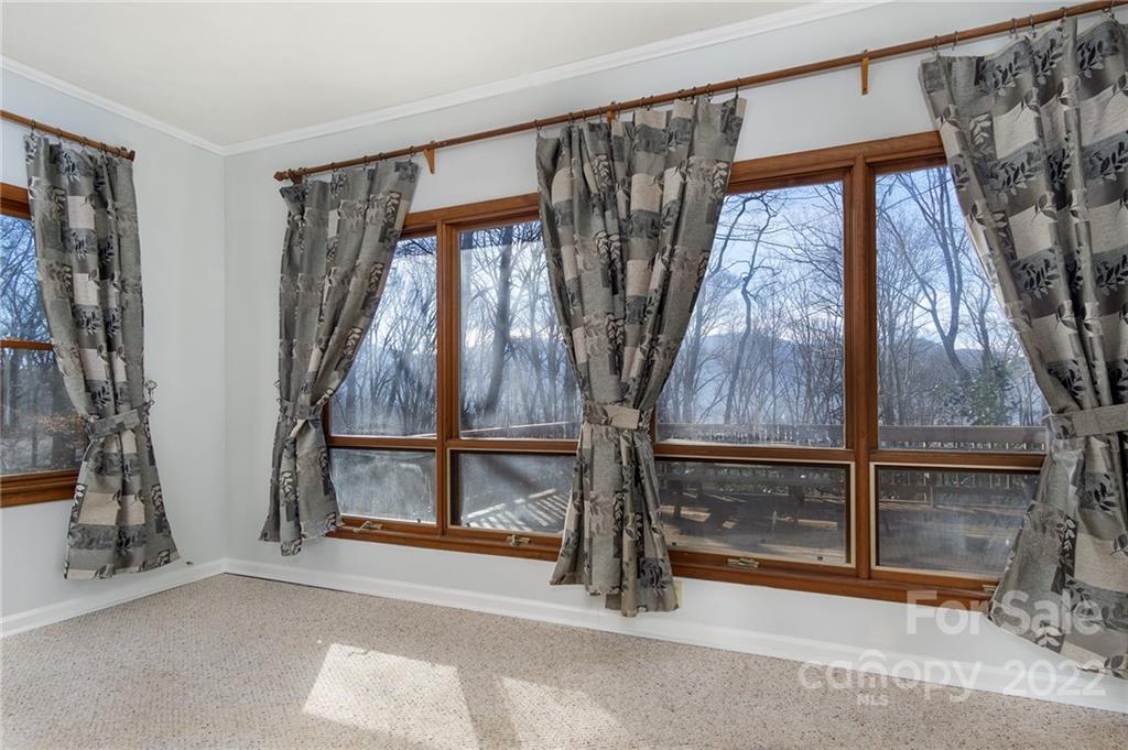 23 Alpine Way Swannanoa NC 28778